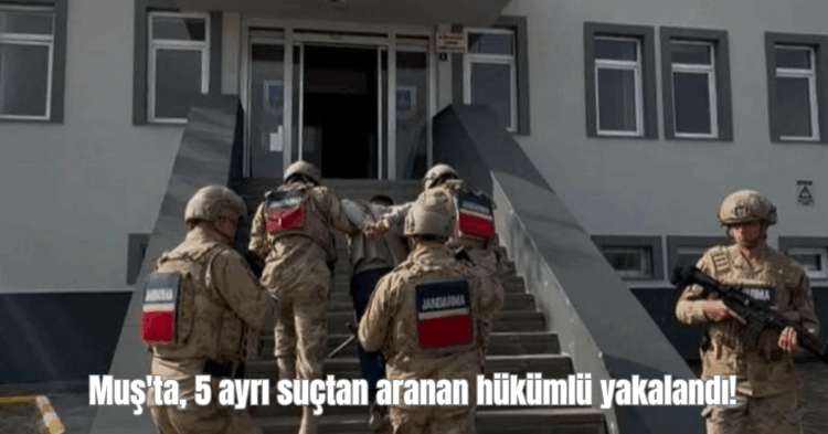 musta 5 ayri suctan aranan hukumlu yakalandi habermeydan