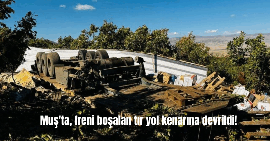 musta freni bosalan tir yol kenarina devrildi habermeydan