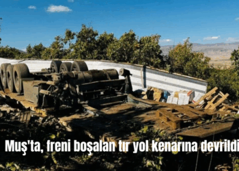 Muş’ta, freni boşalan tır yol kenarına devrildi!