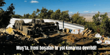 Muş’ta, freni boşalan tır yol kenarına devrildi!