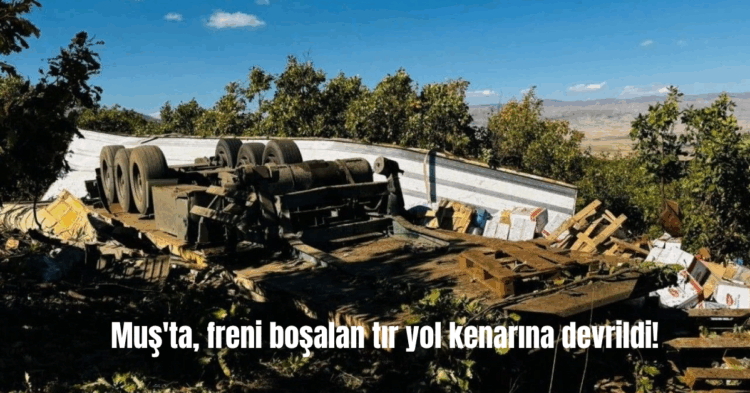 musta freni bosalan tir yol kenarina devrildi habermeydan