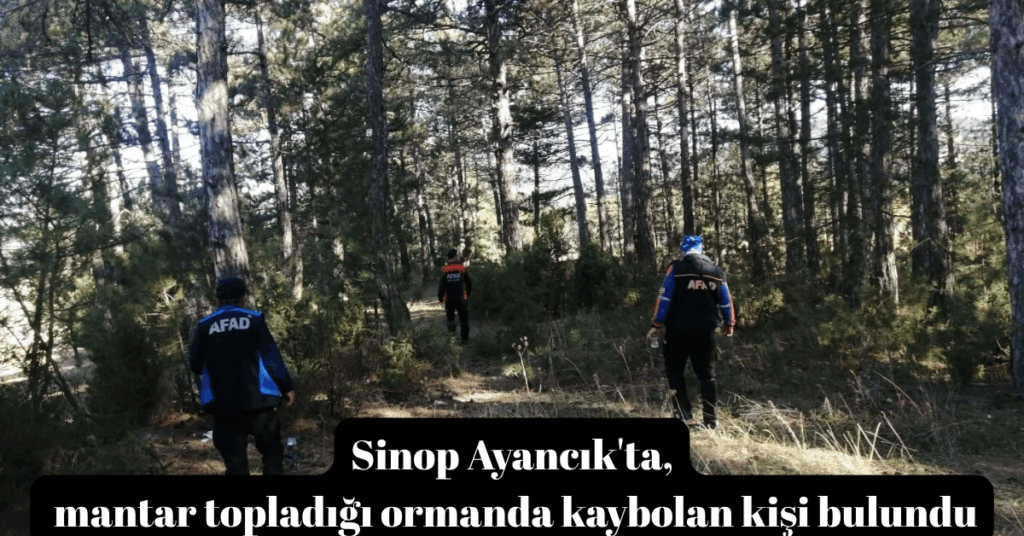 sinop ayancikta mantar topladigi ormanda kaybolan kisi bulundu habermeydan