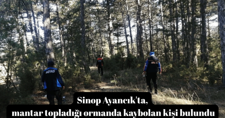 sinop ayancikta mantar topladigi ormanda kaybolan kisi bulundu habermeydan