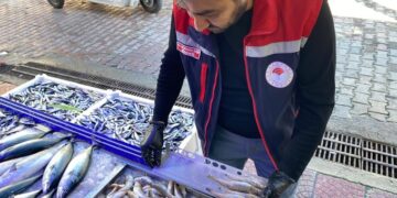 Sinop’ta, su ürünleri denetimleri aralıksız sürüyor!