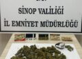 Sinop'ta, uyuşturucu operasyonu! Sinop’ta, uyuşturucu operasyonu!