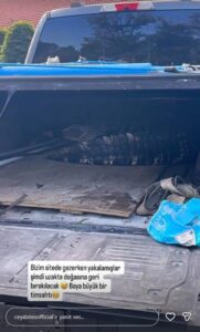 Ceyda Ateş'in oturduğu sitede timsah yakalandı Ceyda Atesin oturdugu sitede timsah yakalandi1 habermeydan