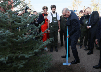 Milli Ağaçlandırma Günü'nde Yeşil Rekor! Milli Ağaçlandırma Günü’nde Yeşil Rekor!