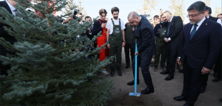 Milli Ağaçlandırma Günü'nde Yeşil Rekor! Milli Agaclandirma Gunu habermeydan