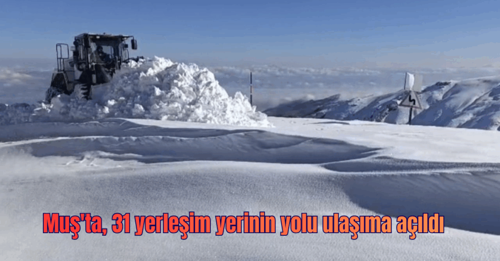 Muş'ta, kardan kapanan 31 yerleşim yerinin yolu ulaşıma açıldı! Musta 31 yerlesim yerinin yolu ulasima acildi habermeydan
