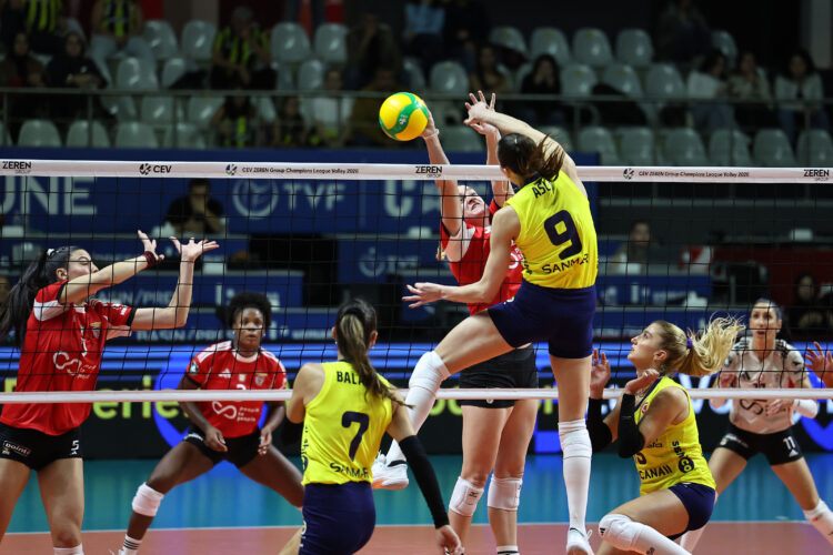 Fenerbahçe Medicana, Şampiyonlar Ligi’ne galibiyetle başladı fenerbahce medicana benficayi set vermeden gecti habermeydan