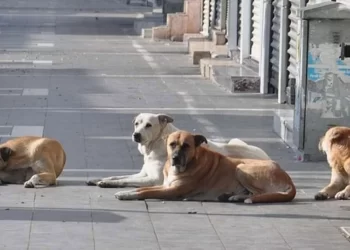 İstanbul Valiliği’nden yeni karar: Artık yasaklandı
