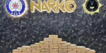 İstanbul’da düzenlenen operasyonda 175 kilo kokain ele geçirildi