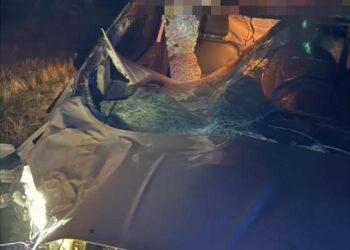 Muş Kızılağaç’ta, hafif ticari araç ata çarptı!