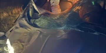 Muş Kızılağaç’ta, hafif ticari araç ata çarptı!