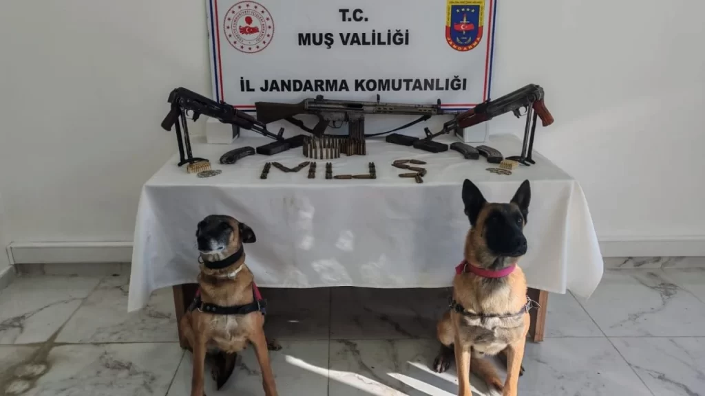 Muş'ta, Jandarma'dan ruhsatsız silah operasyonu! musta jandarmadan ruhsatsiz silah operasyonu habermeydan