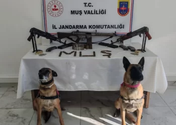 Muş'ta, Jandarma'dan ruhsatsız silah operasyonu! Muş’ta, Jandarma’dan ruhsatsız silah operasyonu!