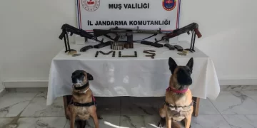 Muş'ta, Jandarma'dan ruhsatsız silah operasyonu! Muş’ta, Jandarma’dan ruhsatsız silah operasyonu!