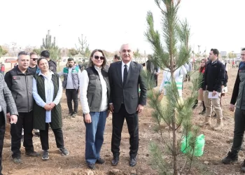 Muş'ta, Milli Ağaçlandırma Gününde 20 bin fidan toprakla buluşturuldu! Muş’ta, Milli Ağaçlandırma Gününde 20 bin fidan toprakla buluşturuldu!