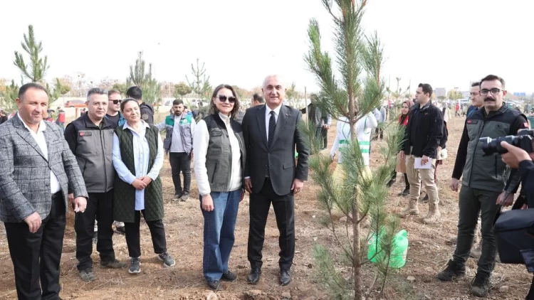 musta milli agaclandirma gununde 20 bin fidan toprakla bulusturuldu habermeydan