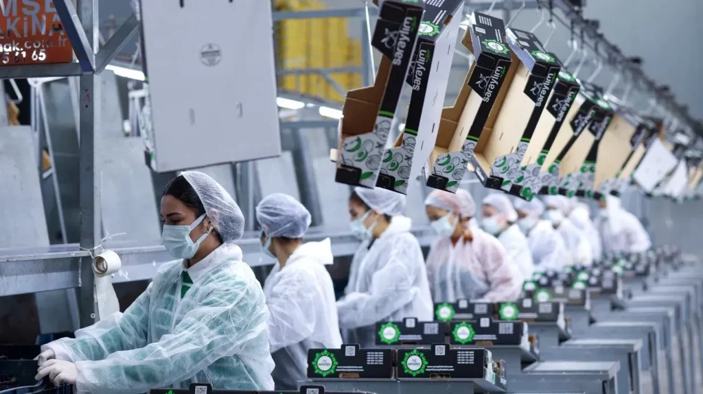 36 yıllık meyve-sebze devi konkordato ilan etti saraylim habermeydan