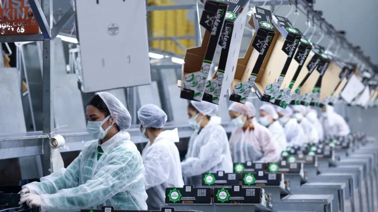 36 yıllık meyve-sebze devi konkordato ilan etti 36 yıllık meyve-sebze devi konkordato ilan etti.