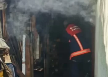 Sinop Boyabat’ta, odunlukta çıkan yangın korkuttu!