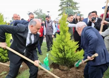 Sinop’ta, 76 dönümde 3 bin 860 fidan toprakla buluştu!