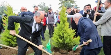 Sinop’ta, 76 dönümde 3 bin 860 fidan toprakla buluştu!