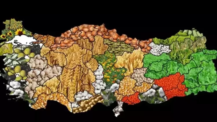 2025 Yerli Malı Haftası ne zaman?