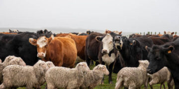 Halk Elinde Islah Projeleri’ne toplam 2,7 milyar liralık destek