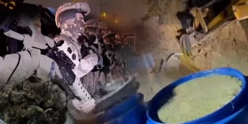 29 İlde Düzenlenen Operasyonlarda 345 Şüpheli Yakalandı 29 İlde Düzenlenen Operasyonlarda 345 Şüpheli Yakalandı