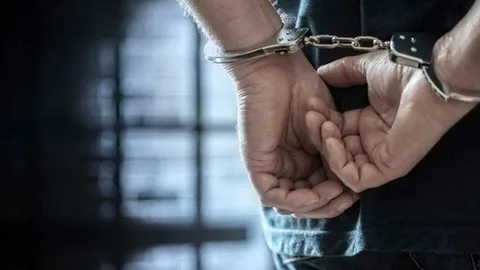 Organize Suç Örgütüne yönelik operasyonlarda 67 şüpheli yakalandı Organize Suc Orgutu3 habermeydan