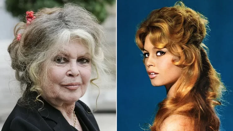 Efsane Fransız oyuncu Brigitte Bardot 91 yaşında yaşamını yitirdi! Efsane Fransız oyuncu Brigitte Bardot 91 yaşında yaşamını yitirdi.