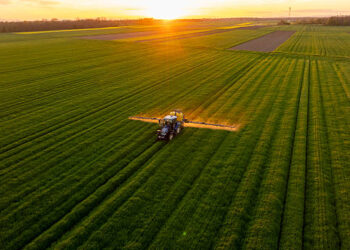 Bakanlık duyurdu! 156 yerel eylem grubuna 2,2 milyar lira hibe desteği