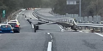 Japonya’da 7,5 büyüklüğündeki deprem: 34 yaralı, artçı uyarısı