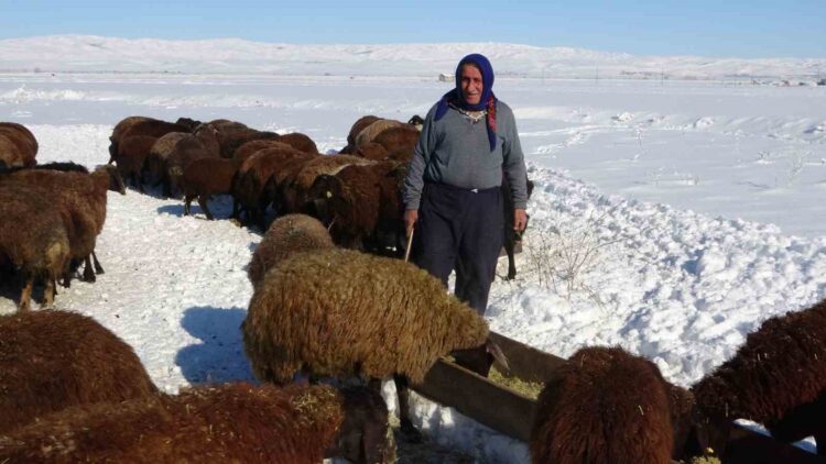 mus haskoyde besicilerin zorlu mesaisi basladi habermeydan