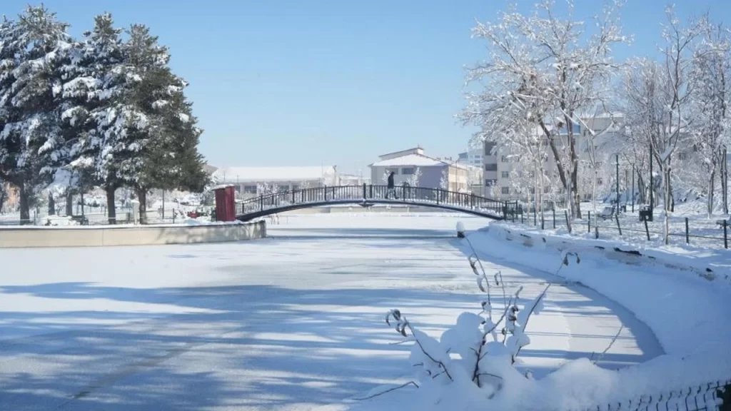 Muş'ta, soğuktan göletler dondu, çatılarda buz sarkıtları oluştu! musta soguktan goletler dondu catilarda buz sarkitlari olustu habermeydan