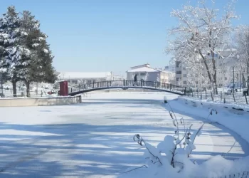 Muş’ta, soğuktan göletler dondu, çatılarda buz sarkıtları oluştu!