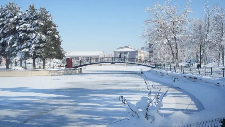 Muş'ta, soğuktan göletler dondu, çatılarda buz sarkıtları oluştu! musta soguktan goletler dondu catilarda buz sarkitlari olustu habermeydan