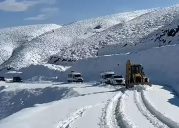 Muş’ta, yoğun kar yağışı 333 köy yolunu kapattı!