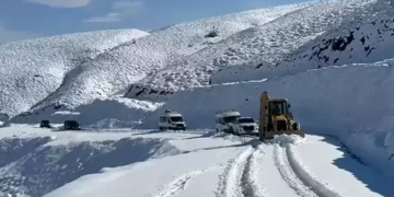 Muş’ta, yoğun kar yağışı 333 köy yolunu kapattı!