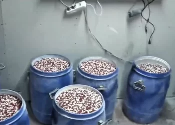 İstanbul ve İzmir’de narkotik operasyon! İstanbul ve İzmir’de narkotik operasyon!