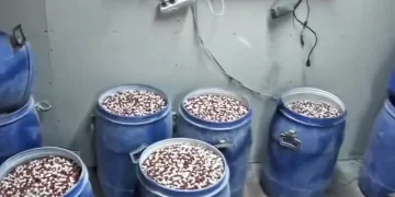 İstanbul ve İzmir’de narkotik operasyon! İstanbul ve İzmir’de narkotik operasyon!