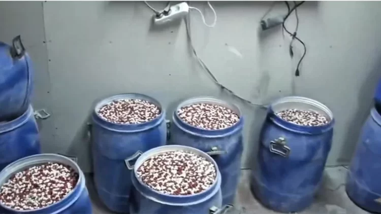 İstanbul ve İzmir’de narkotik operasyon! narkotik operasyon habermeydan