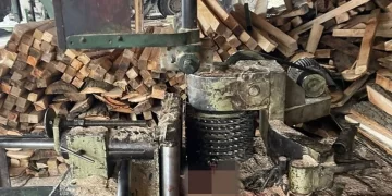 Sinop Boyabat’ta iş kazası: kolunu hızar makinesine kaptırdı!