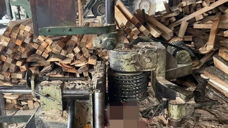 sinop boyabatta is kazasi kolunu hizar makinesine kaptirdi habermeydan