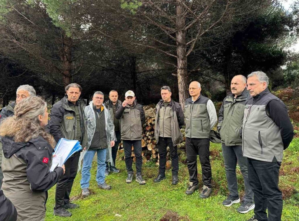 Sinop'ta, ormancılık faaliyetleri incelendi! sinopta ormancilik faaliyetleri incelendi habermeydan e1765811934804