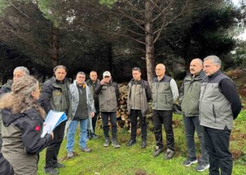Sinop'ta, ormancılık faaliyetleri incelendi! Sinop’ta, ormancılık faaliyetleri incelendi!
