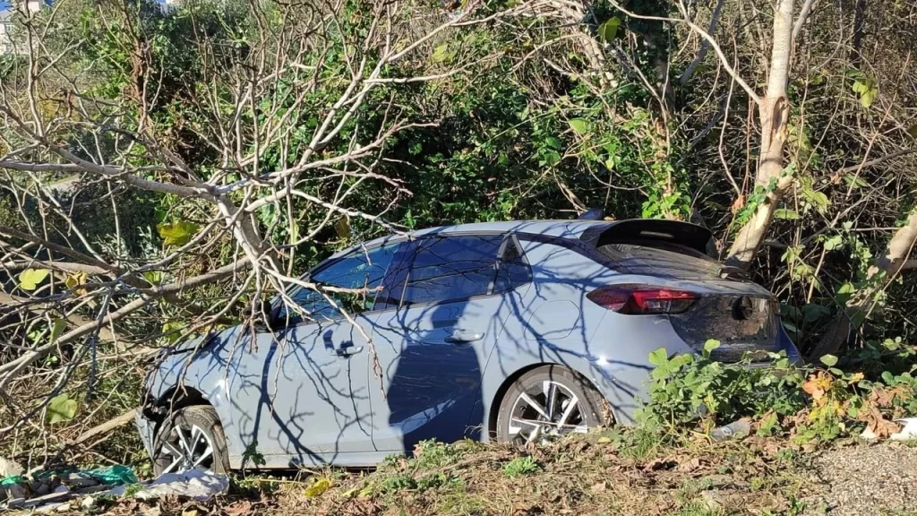 sinopta otomobil agaclik alana devrildi habermeydan