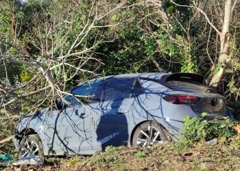 Sinop’ta, otomobil ağaçlık alana devrildi!